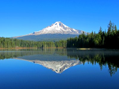 Mt. Hood at Trillium Lake in OR photo