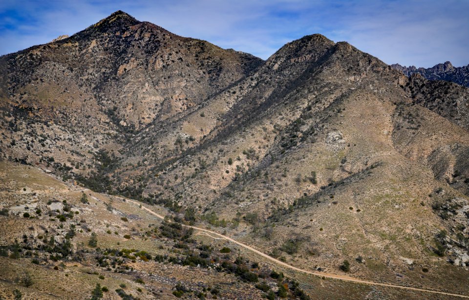 Canebrake Road/Chimney Creek Road bordering on Owens Peak Wilderness and Domeland Wilderness