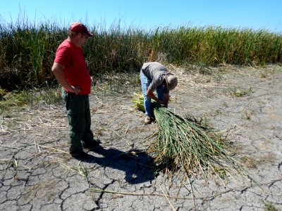 2017 Modoc County Children's Fair and Sportsman Expo