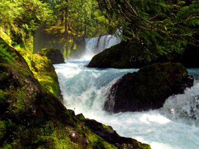 Spirit Falls Trail on Little White Salmon River in WA photo