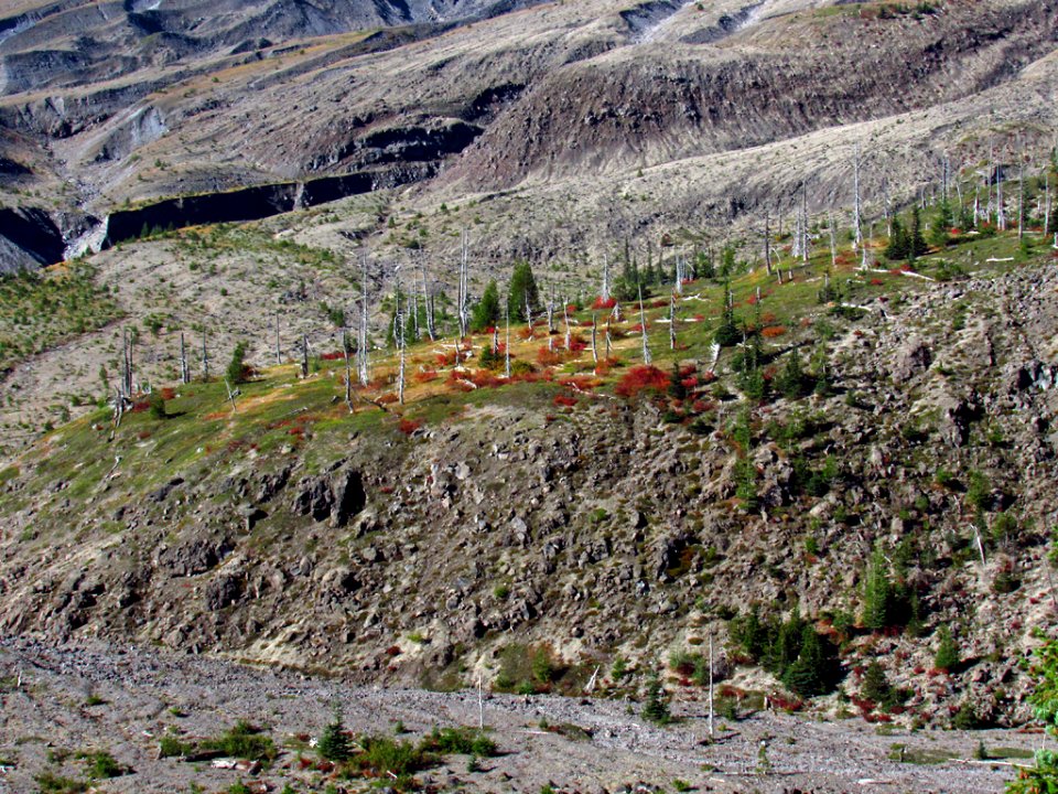 Ape Canyon Trail at Mt. St. Helens
