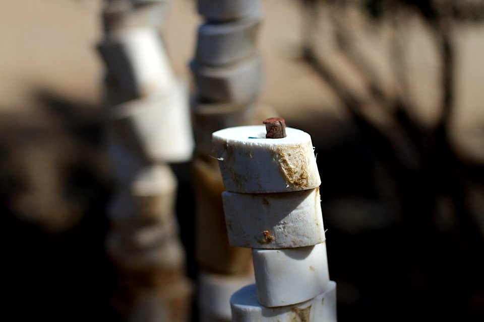 Among the Bone Towers