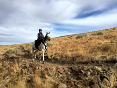 Bald Mountain
