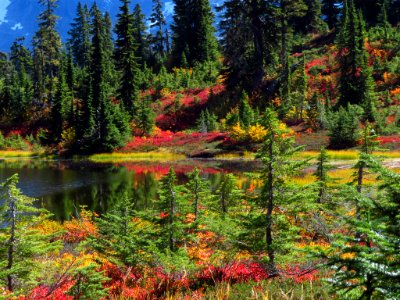 Autumn at Picture Lake in WA