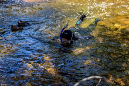 Fish Surveys at Baca National Wildlife Refuge