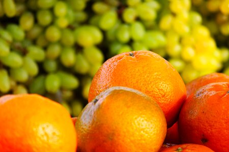 Orange fruit citrus fresh photo