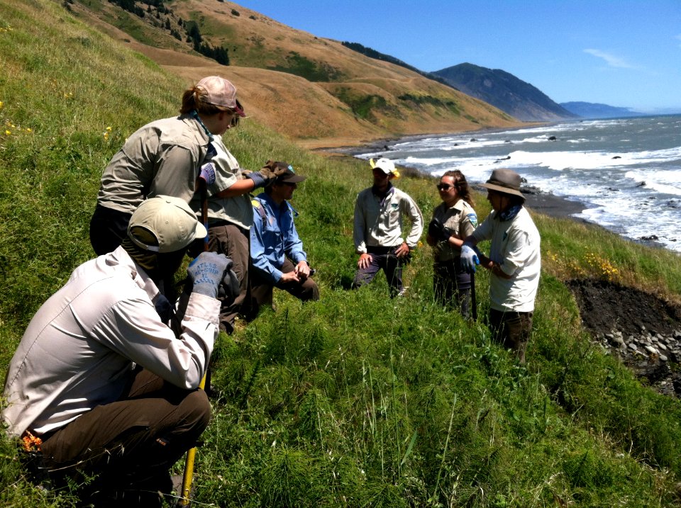 Trail Maintenance at King Range in Arcata Field Office