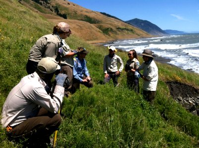 Trail Maintenance at King Range in Arcata Field Office photo