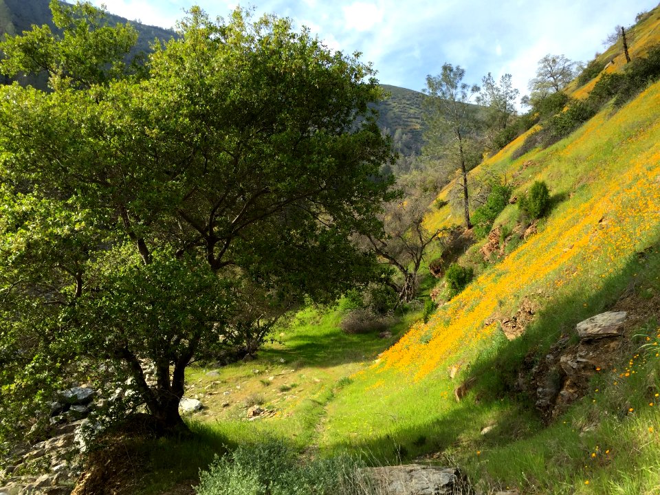 Merced River Recreation Area