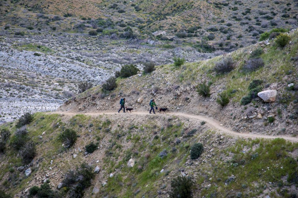 Pacific Crest Trail