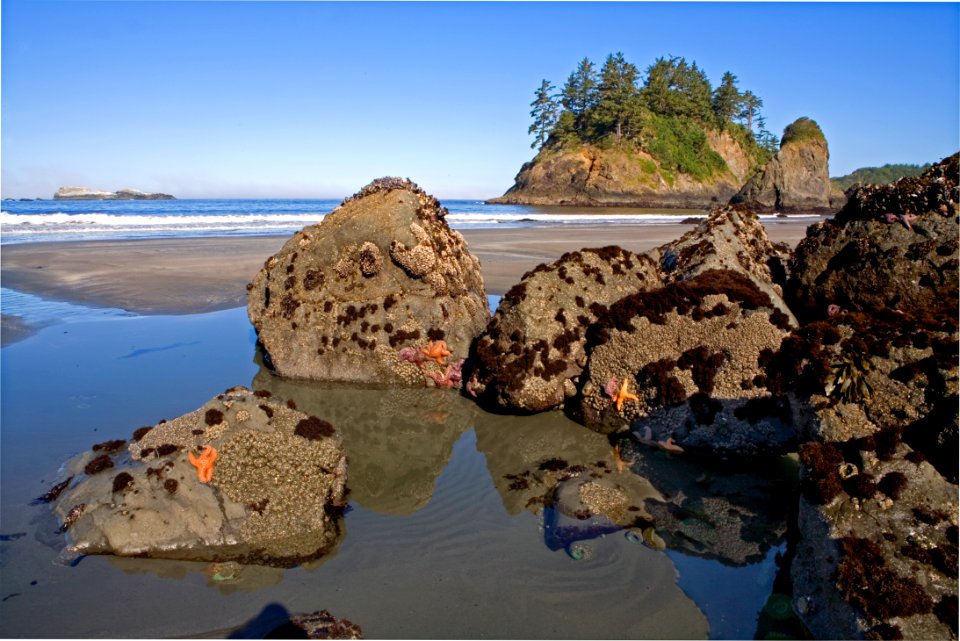 California Coastal National Monument at Trinidad Head