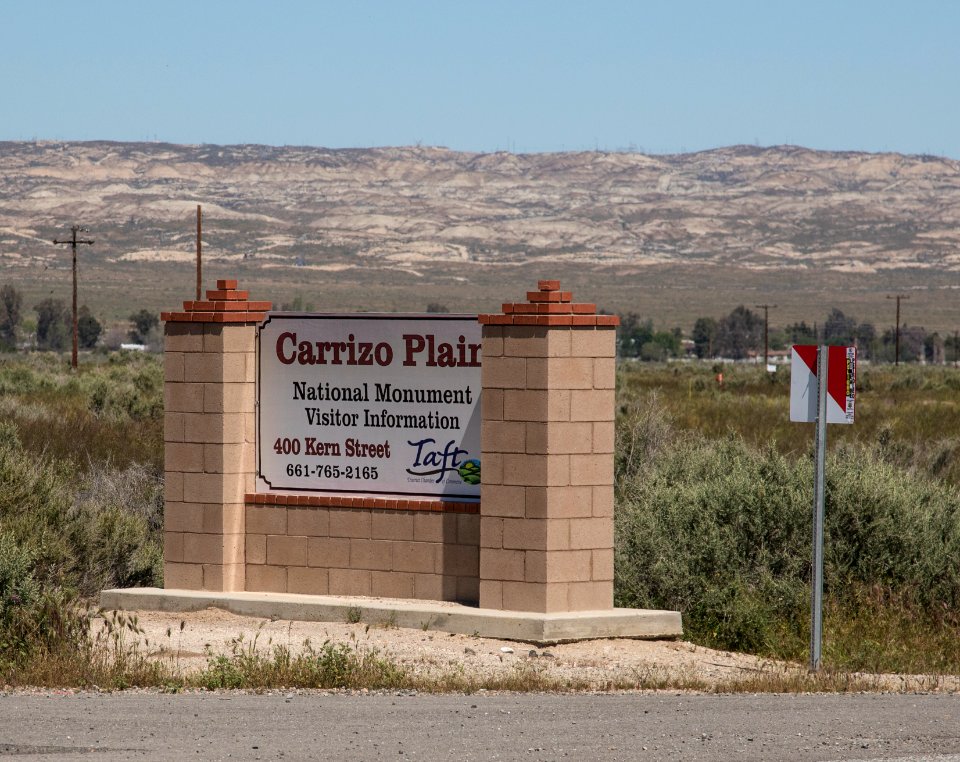 Super Bloom 2017 at Carrizo Plain National Monument