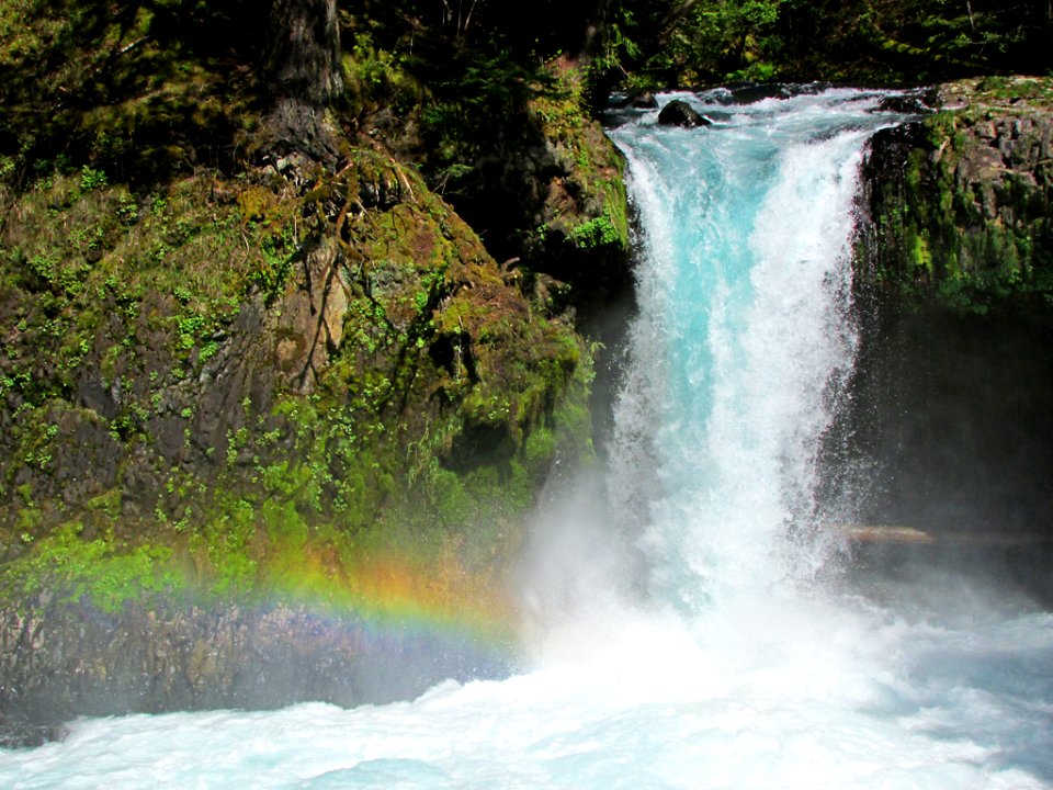 Spirit Falls Trail on Little White Salmon River in WA