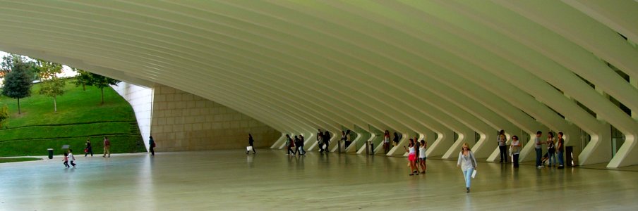 P1130627