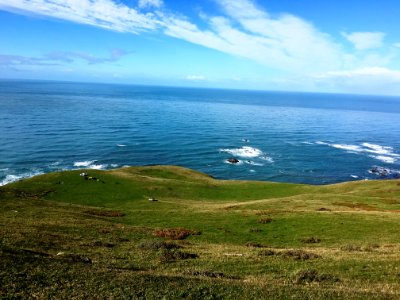Ocean Grazing