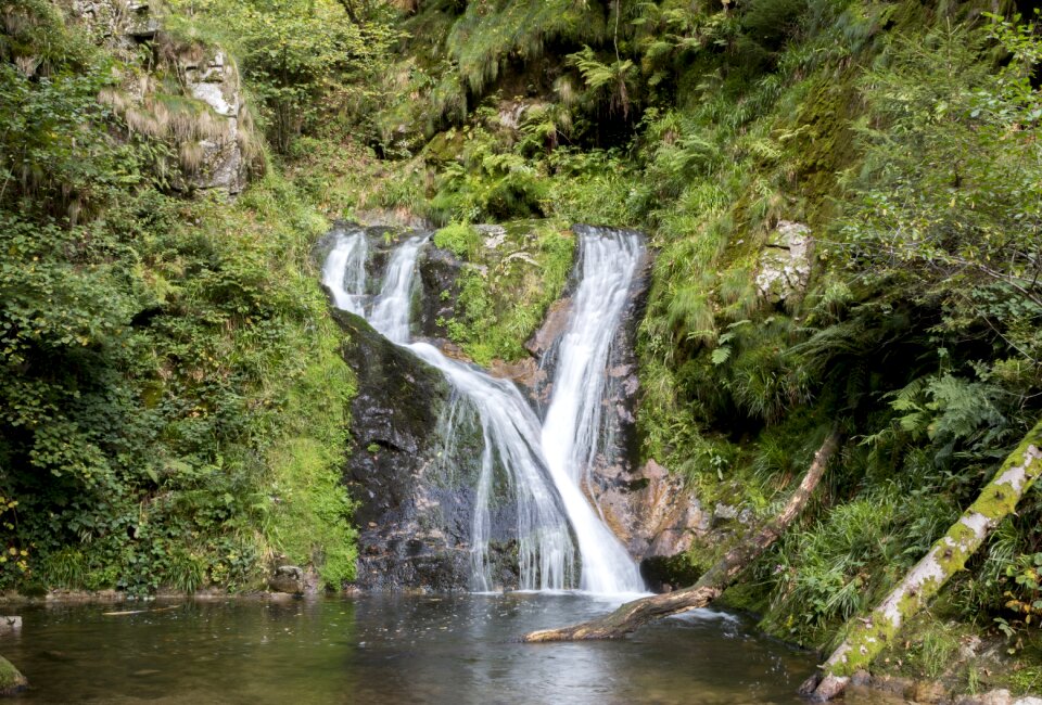 Nature local recreation flow