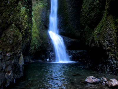 Oneonta Gorge in Oregon photo