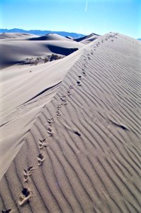 Cadiz Dunes