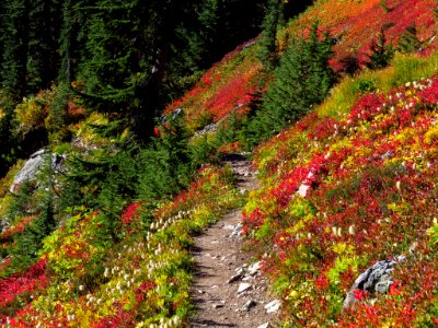 Autumn at Yellow Aster Butte in WA photo