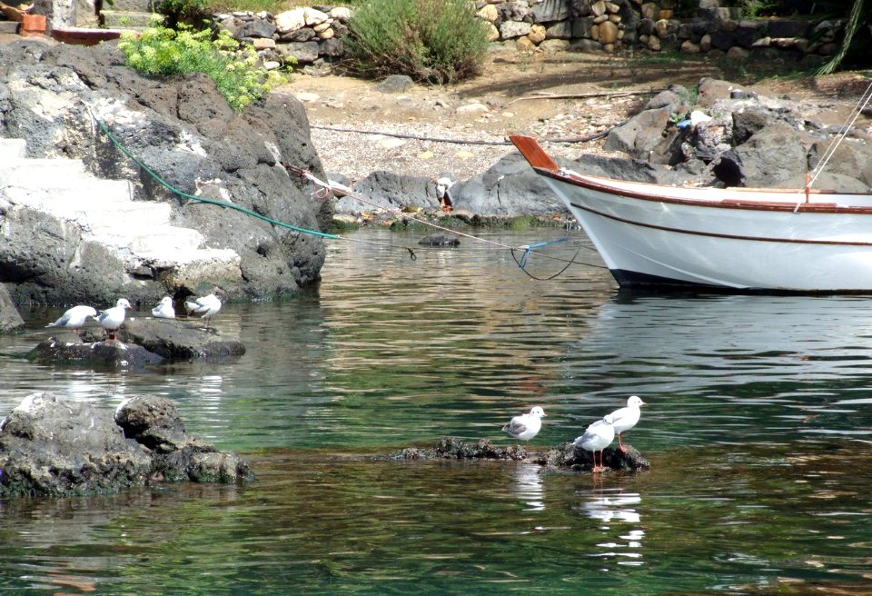 Italy-Catania Ognina - Creative Commons by gnuckx