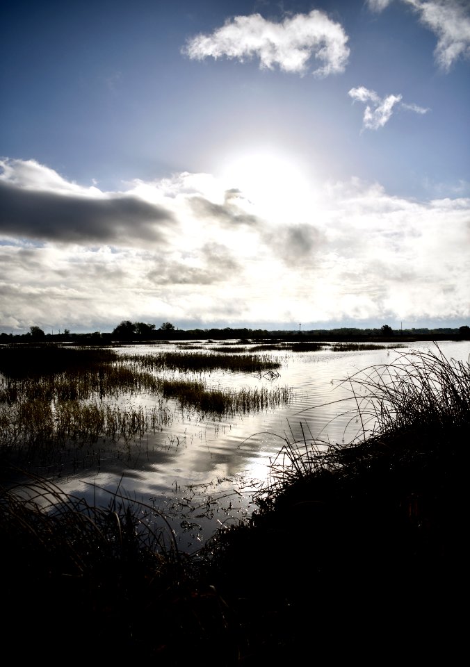 Cosumnes River Preserve