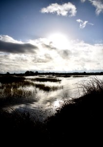 Cosumnes River Preserve photo