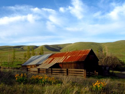 Evening at Dalles Mt. Ranch in WA photo