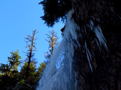 Tamanawas Falls Trail at Mt. Hood in Oregon photo