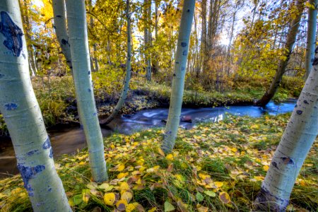 Conway Summit Area of Critical Environmental Concern photo