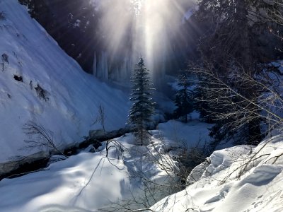 Tamanawas Falls Trail at Mt. Hood in Oregon