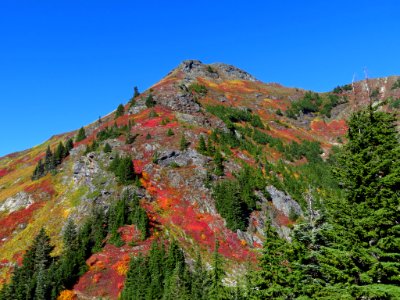 Autumn at Yellow Aster Butte in WA photo