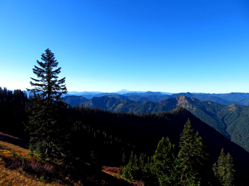 Tatoosh Ridge in WA