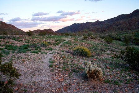 Corn Springs Campground