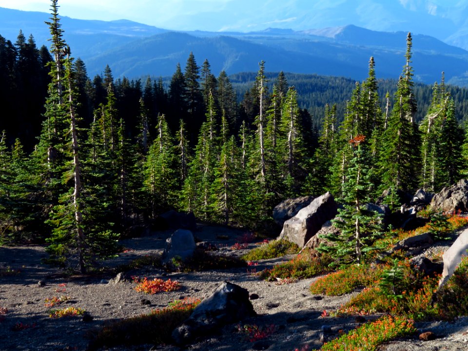 Mt. St. Helens Summit Trail in WA