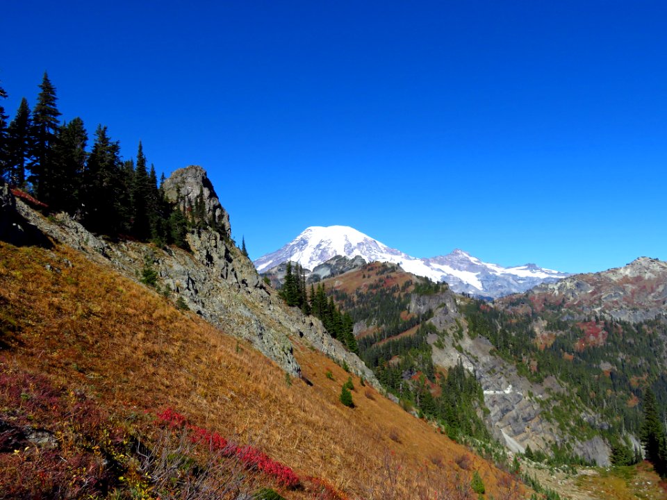 Mt. Rainier at Tatoosh Ridge in WA