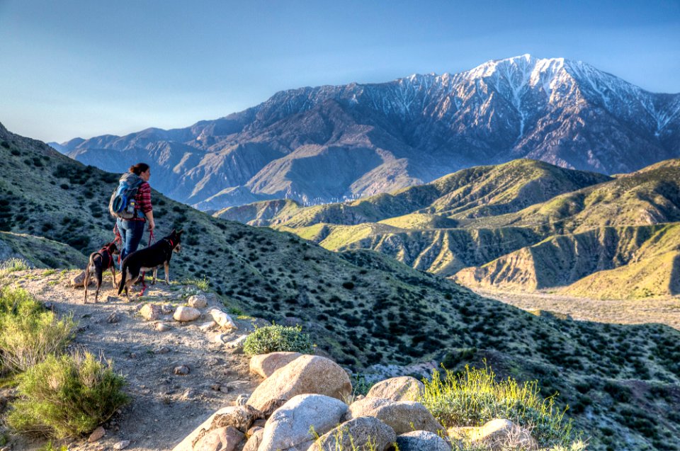 Pacific Crest Trail photo