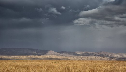 Looming Storm by Irene Reti