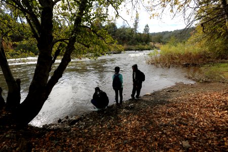 Cronan Ranch