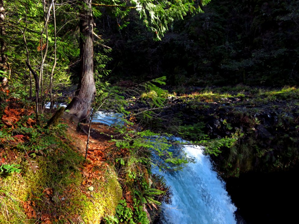 Spirit Falls Trail on Little White Salmon River in WA