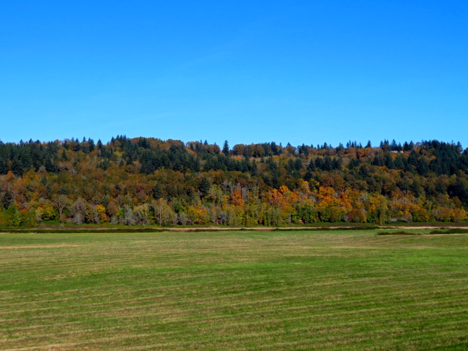 Autumn at Steigerwald Lake NWR in WA