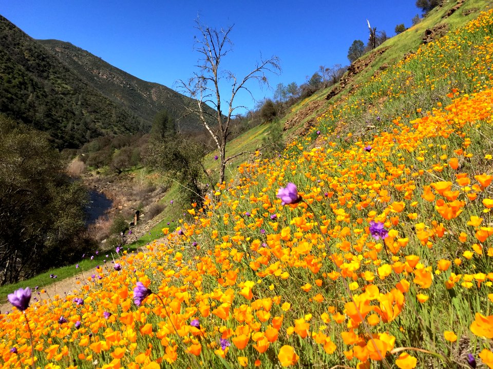 Merced River Recreation Area