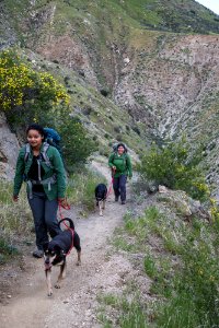 Pacific Crest Trail