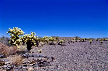 Sacramento Mountains photo