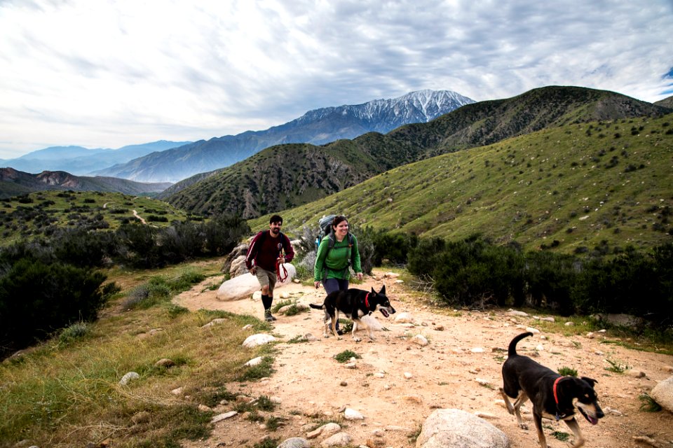 Pacific Crest Trail