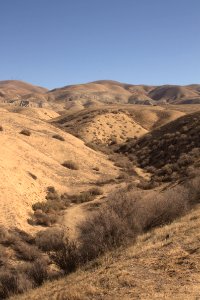Wallace Creek by Esther Livingston