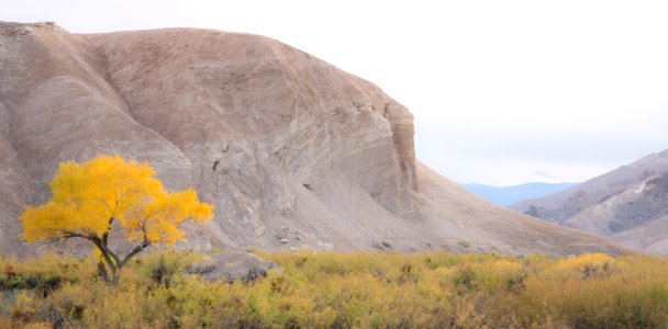 Amargosa River Basin