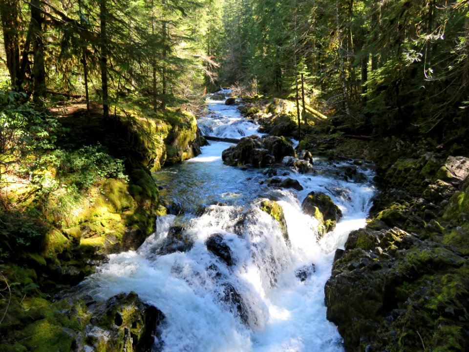 Opal Creek Wilderness in Oregon