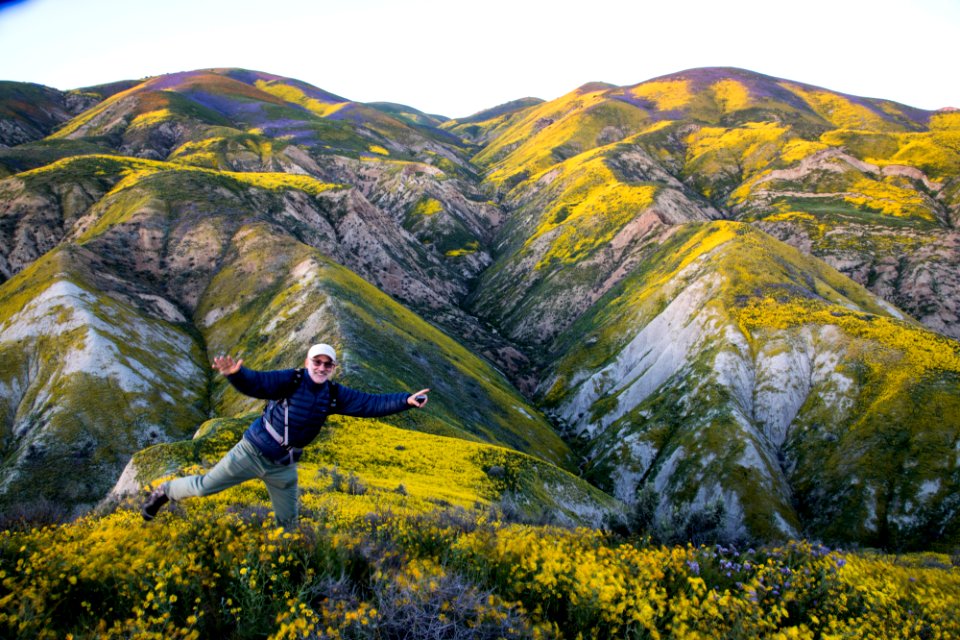 Super Bloom 2017 at Carrizo Plain National Monument