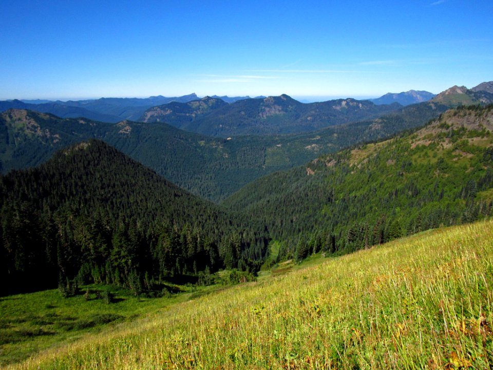 Tatoosh Wilderness in WA