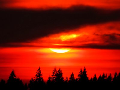 Sunset in Duvall, WA photo